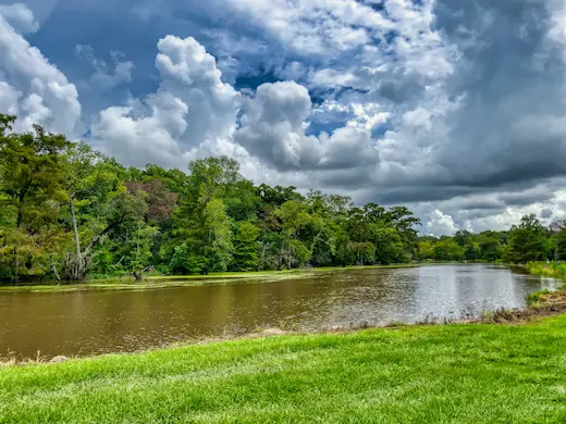 louisiana bayou